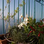 Casa Gargano Ravello Coast アパート アマルフィ