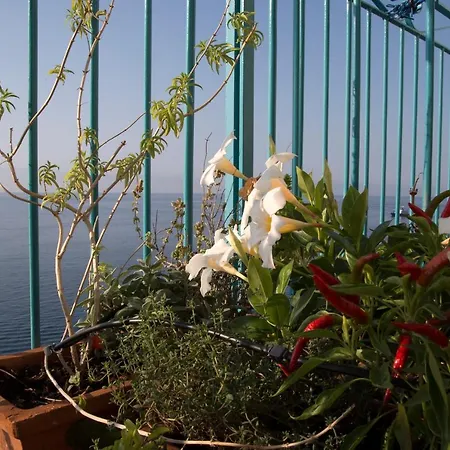 Casa Gargano Ravello Coast Apartmán Amalfi